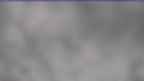 20240402_084127.jpg 