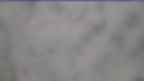 20240403_152058.jpg 