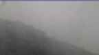 20240527_084125.jpg 