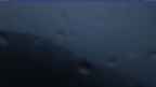 20240528_042106.jpg 