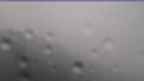 20240528_060108.jpg 
