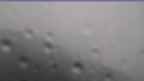 20240528_062106.jpg 