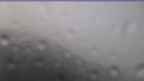 20240529_060125.jpg 