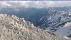 20240601_164059.jpg 