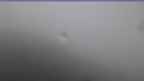 20240625_070113.jpg 