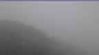 20240625_130103.jpg 