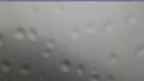20240704_052058.jpg 