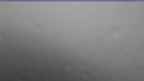 20240708_060107.jpg 