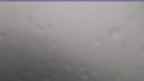 20240708_084134.jpg 