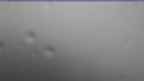 20240709_070106.jpg 