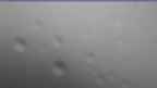 20240709_094121.jpg 