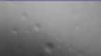 20240709_100116.jpg 