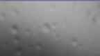 20240710_064107.jpg 