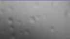20240710_070106.jpg 