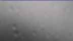20240710_080101.jpg 