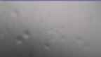 20240710_082125.jpg 