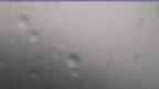 20240710_104147.jpg 