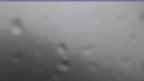 20240710_132101.jpg 