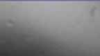 20240710_150106.jpg 