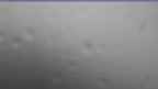 20240710_162104.jpg 