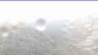 20240713_052106.jpg 