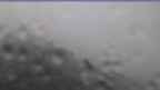 20240716_080123.jpg 