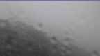 20240717_082136.jpg 