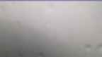 20240720_054102.jpg 