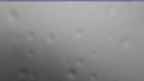 20240720_064112.jpg 