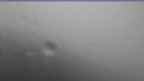 20240724_072120.jpg 