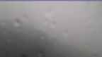 20240724_080052.jpg 