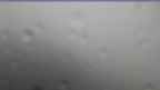 20240724_092051.jpg 