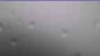 20240725_064108.jpg 