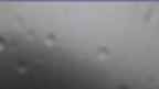 20240725_074107.jpg 