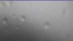 20240725_102133.jpg 