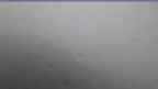 20240728_064112.jpg 