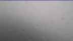 20240728_070107.jpg 