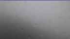 20240728_072125.jpg 