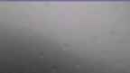 20240728_082112.jpg 