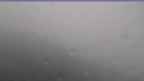 20240728_084123.jpg 