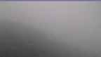 20240728_094141.jpg 