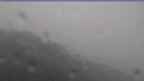 20240730_084129.jpg 