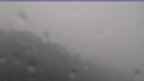 20240730_090132.jpg 