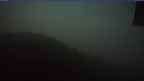 20240804_044110.jpg 