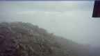 20240903_064118.jpg 