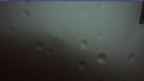 20240921_054058.jpg 