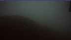 20240922_054056.jpg 