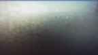 20240924_054054.jpg 