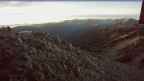 20240925_060117.jpg 