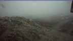 20241003_060108.jpg 